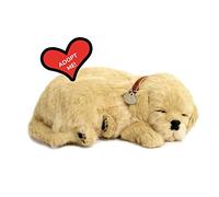 Perfect Petzzz 4908 - Soft Toy Dog Golden Retriever
