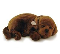 Perfect Petzzz Labrador ChocolateThe Original Breathing Pet New Huggable Soft Version Age 3+