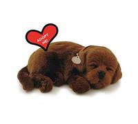 Perfect Petzzz - Original Petzzz Chocolate Lab, Realistic, Lifelike Stuffed Interactive Pet Toy, Companion Pet Dog with 100% Handcrafted Synthetic Fur