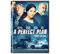 Perfect Plan, A