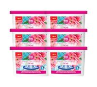 Perfect Scents Dehumidifier 6 Pack - 500ml Each - 3L Total - Home Interior Damp Mould Moisture Mildew - Rose
