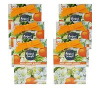 Perfect Scents Scented Sachets 6 Pack - 20g Each - 120g Total - 30 Day Odour Freshening - White Jasmine & Neroli