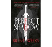 Perfect Shadow : A Night Angel Novella
