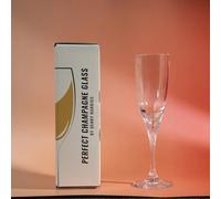 Perfect Water Glass & Perfect Champagne Glass Magic Tricks Appearing Drink in Empty Cup Liquid Production Magic Stage Illusions Gimmicks Mentalism Props (Perfect Champagne Glass)