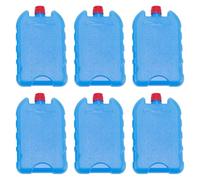 perfk 6 Pack Ice Cooling Blocks, Ice Brick Packs for Cooler Bags, Reusable Freezer Blocks, Freezer Packs for Outdoor Camping, BBQ