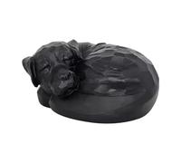 perfk Memorial Urn for - Keepsake, Storage Box for Pet Supplies, Urn to Remember Pets, for Mantelpiece And