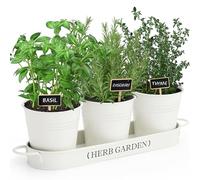 PERFNIQUE Farmhouse Herb Garden Kit, Indoor/Outdoor Herb Planter with Tray, Window Pots for Indoor/Outdoor Plants (Off White)