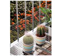 Perforated Polycarbonate Sheets with 10mm Holes, Decorative Leak-Proof Window Pads, Transparent PC Mesh Screen