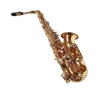 Performers Eb Alto Saxophone Brass Gold | Rich, Warm Tone for Jazz and Classical(A)