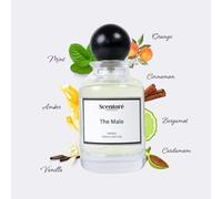Perfume for Men, Elegant Fragrance, Long-Lasting Scent Inspired by Designer Brands (100 ml, The Male - Inspired by La Male)