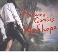 Perfume Genius - Der Effekt des Wassers [VINYL]