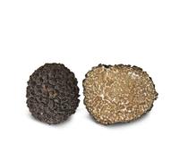 Pergola Tartufi - Fresh Black Uncinato Truffle 100g, Premium Quality - Intense Aroma for Gourmet Dishes and Exclusive Condiments, Ideal for Pasta and Risottos