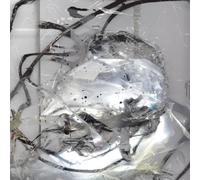 PERILA - HOW MUCH TIME IT IS BETWEEN YOU AND ME [VINYL]