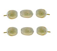 Perilla Home Set of 6 Kono Off White Ceramic Knob for Kitchen Cabinets - Ceramic Handles and Pull Knob for Dresser Drawer | Living Room | Kitchen | Bathroom | Closet Cupboard Furniture