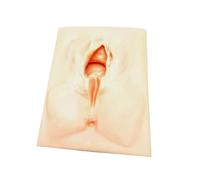 Perineal Suture Practice, Episiotomy Simulator Suturing Simulator, Female Vulva Incision for Display, Cut Middle, Teaching Training Dedicated