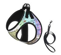 Periodic table of elements print Dog Harness and Leash Set, Reflective Adjustable Puppy Vest for Small Medium Large Dogs, Cats