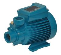Peripheral pump CALPEDA CT60m 0,33kW 0,45Hp Single Phase 230V 50Hz Heavy Duty