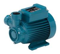 Peripheral pump CALPEDA CT61m 0,33kW 0,45Hp Single Phase 230V 50Hz Heavy Duty