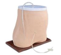 Peritoneal Dialysis Model,Medical Training Peritoneal Dialysis Model, Medical Training Peritoneal Dialysis Model, Ideal for Medical Education & Demonstration