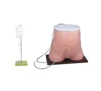 Peritoneal Dialysis Model, Medical Training Peritoneal Dialysis Model, Peritoneal Dialysis Patient Care Training Model for Medical Education Demonstration