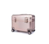 Perle Path All Aluminum Rolling Camera Case, Pilot case, Camera roller bag, Carry on, Hard Shell Photography Equipment suitcase with 4 Wheels and Telescopic Handle (Rose Gold(only luggage))