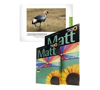 PermaJet Matt Plus 240gsm | A3+ 50 Sheets | Inkjet Matt Printer Photo Paper