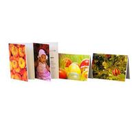 Permajet Pre-Creased Greetings Cards - A5 - Matt Finish - 25 Sheets