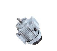 Permanent Magnet Synchronous Motor, Three-Phase 220V/380V AC Variable Frequency Drive Motor, 132 Frame Size(22KW380V 6 pole pairs3000rpm)