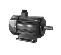 Permanent Magnet Synchronous Variable Frequency Motor Full-Range Mechanical AC Motor GYTB-138(1.5KW 1000rpm)