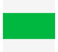 Permaset Aqua Standard 1 Litre Mid Green Ink - Screen Printing Ink for Fabric - Ideal Screen Printing Kit for Home Office, Starter Kit, Fabric Paint, Screen Printer and Other Fabric Ink