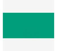 Permaset Aqua Standard 300ml Green B Ink - Screen Printing Ink for Fabric - Ideal Screen Printing Kit for Home Office, Starter Kit, Fabric Paint, Screen Printer and Other Fabric Ink