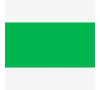 Permaset Aqua Standard 300ml Mid Green Ink - Screen Printing Ink for Fabric - Ideal Screen Printing Kit for Home Office, Starter Kit, Fabric Paint, Screen Printer and Other Fabric Ink