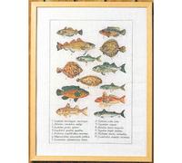Permin counted cross stitch kit "Fish", 41x56cm, DIY, 70-6408