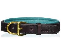 Perri's Padded Leather Dog Collar, Havana/Turquoise, Small