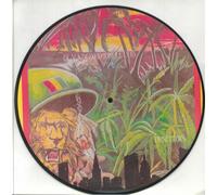Lee "Scratch" Perry & The Upsetters - Blackboard Jungle Dub (Picture Disc) [VINYL]