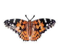 Perry No.pa1712 Medium Metal Realistic Butterfly Wall Art - Painted Lady
