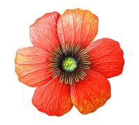 Perry No.PA2540 Large Metal Wall Mounted Poppy