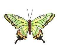 Perry Primus Medium Metal Butterfly Wall Arts Indoor Outdoor - Various Colours