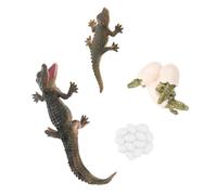 PERSELOSO 1 Set Realistic Life Cycle Model Educational for Detailed Growth Stages Figures for Birthdays and Holidays Fun Learning Prop for Nature Exploration