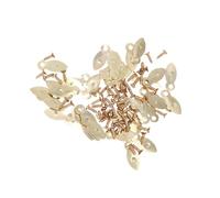 PERSELOSO 100pcs Metal Melon Slice Picture Frame Backing Clips with Screw Hole for Attachment, Easy to Install Photo Frame Accessories in Golden Colour, Suitable for DIY Photo Album and Home