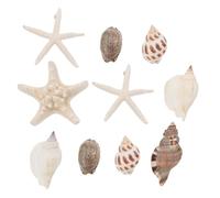 PERSELOSO 10pcs Ocean Seashell Refrigerator Magnets Smooth Rounded Surface Assorted Color Seashell Shape Adorable Fridge Magnet Accessories for Blackboards and Washing Random Style