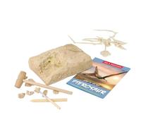 PERSELOSO 1Pc Archaeology Digging Simulation Educational Dinosaur Pterosaur Excavation Kit Beige for Archaeological Learning and Intellectual Development