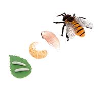 PERSELOSO 1Set Educational Simulation Bee Model of Miniature Bee Growth Cycle Display Models for Life Cycle Learning Enhance Creativity Imagination Through Play