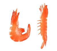 PERSELOSO 2Pcs Realistic Shrimp Food Models Educational Shrimp Props for Teaching Display Photography for Early Learning Cognitive Development
