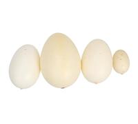 PERSELOSO 4pcs Bird Eggs Model Simulation Egg for Lifelike Speckled Design Lightweight Material for Painting Practice and Educational Play