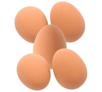 PERSELOSO 5pcs Beige Rubber Dog Egg for Small Dogs and Puppies, Sturdy Interactive Chew Designed for Indoor and Outdoor Play, Withstand Rough Play and Biting, for Chasing and Bouncing