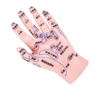 PERSELOSO Educational Hand Reflexology Model with Markings for Tcm Teaching and Massage Practice Versatile Acupressure Display Tool for Healthcare and Training
