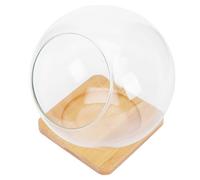 PERSELOSO Glass Terrarium Vase with Smooth Surface and Comfortable Hand Feeling, Khaki round Notch Skew Micro Landscape Bottle for Home and Hotel, Succulent Planter Container