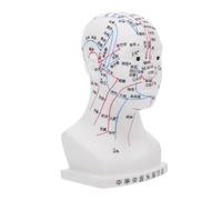 PERSELOSO Head Model Ergonomic Teaching Tool for Acupoint Studies Durable Material for Classroom and Laboratory Use