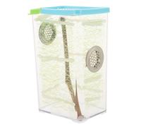 PERSELOSO Mantis Breeding Box with 12 Compartments, Plastic Reptile Habitat Terrarium, Insect Feeding Container Suitable for African Ghost Mantis and Stick Insects